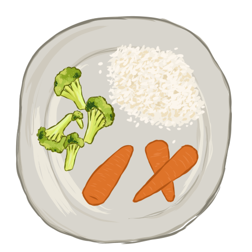 a drawing of a plate viewed from above. the plate contains broccoli, rice, and carrots